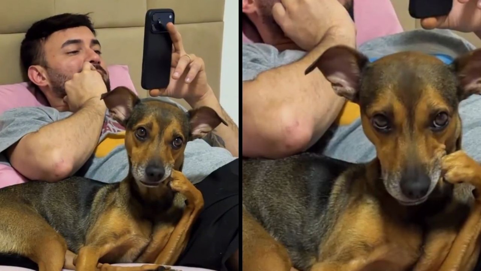 Homem e cachorro marrom deitados, ambos com mãos e patas na boca em gesto similar