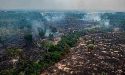 Paisagem amazônica com extensas áreas queimadas escuras, vegetação verde e fumaça