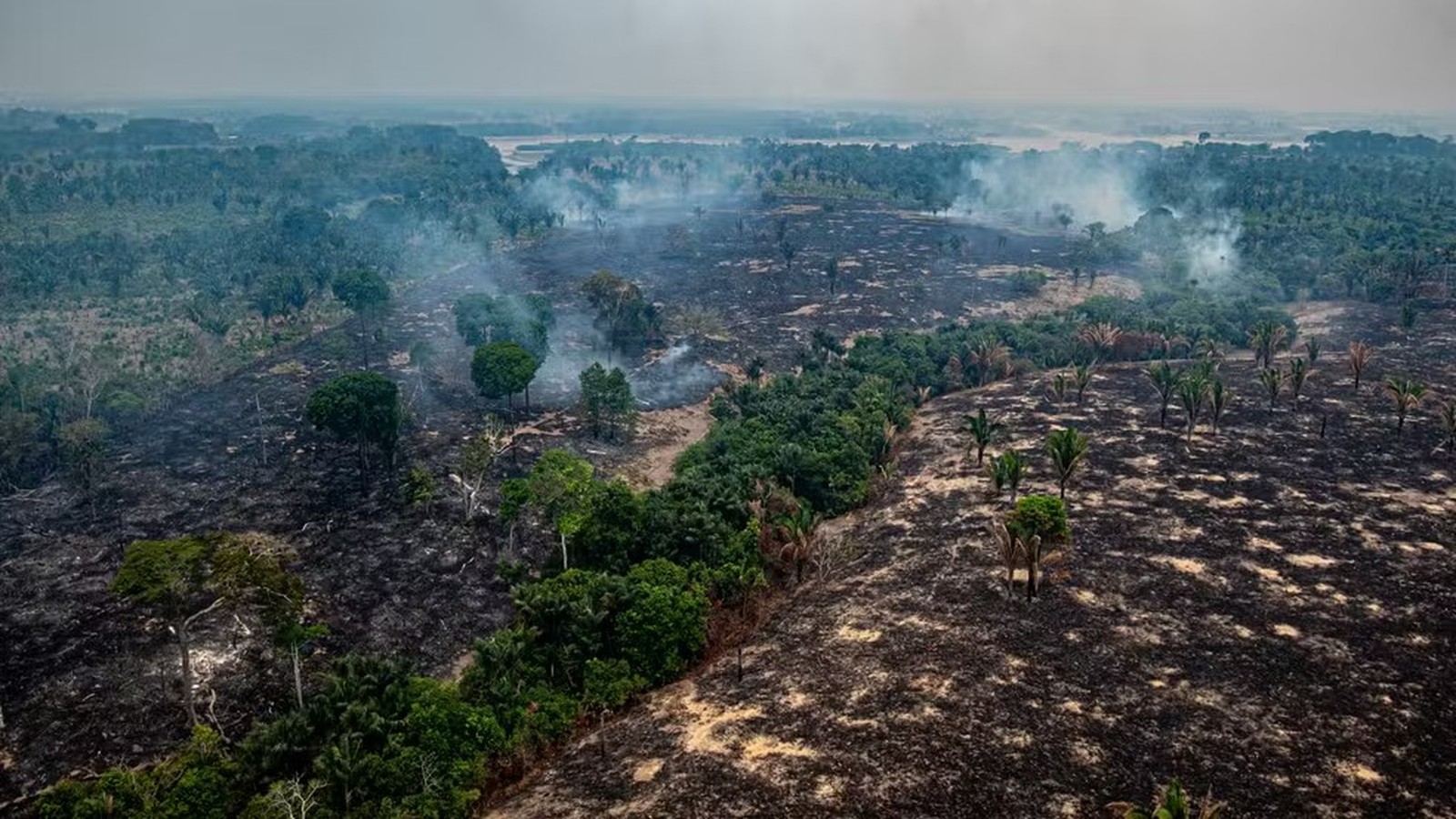 Paisagem amazônica com extensas áreas queimadas escuras, vegetação verde e fumaça