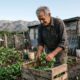 Homem idoso colhe vegetais em horta rústica, com casa simples e montanhas ao fundo