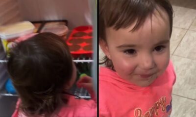 Criança na geladeira comendo doce e depois sorrindo com boca suja de chocolate