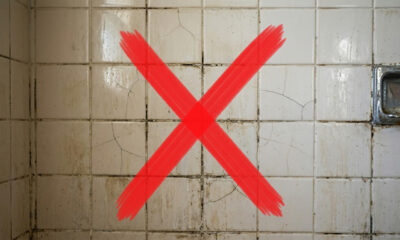 Adeus azulejos velhos no banheiro: a técnica simples com pastilhas adesivas resinadas que resistem à água quente do chuveiro