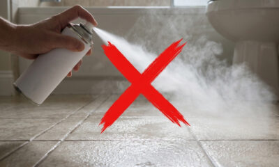 O segredo dos hotéis de luxo para manter o banheiro sempre perfumado: o truque simples de aromatização contínua sem sprays caros
