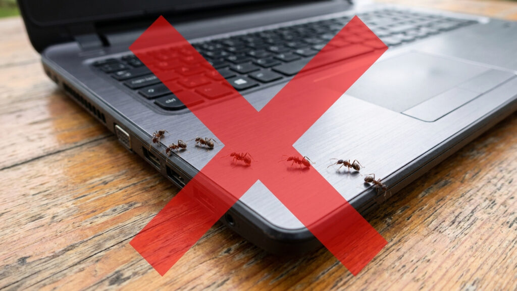 Adeus formigas nos aparelhos eletrônicos: o truque simples dos especialistas para espantar os insetos sem danificar os circuitos
