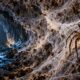 Teia de aranha cobre 106 metros quadrados de uma caverna na divisa entre Albânia e Grécia, abrigando mais de 111 mil animais