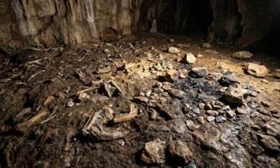 Em 1995, pesquisadores descobriram uma caverna que permaneceu isolada por 16.800 anos na Espanha e encontraram mais de 4.600 objetos que revelam como os humanos viviam na Idade da Pedra