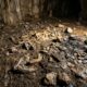 Em 1995, pesquisadores descobriram uma caverna que permaneceu isolada por 16.800 anos na Espanha e encontraram mais de 4.600 objetos que revelam como os humanos viviam na Idade da Pedra