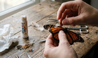 Artista encontra borboleta com asa danificada que não conseguia voar e surpreende ao usar materiais de arte para ajudá-la a voar novamente