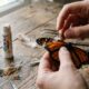 Artista encontra borboleta com asa danificada que não conseguia voar e surpreende ao usar materiais de arte para ajudá-la a voar novamente