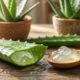Essa planta de folhas carnudas é um super-herói caseiro: de cultivo simples, seu gel acelera a cicatrização e hidrata cabelos ressecados