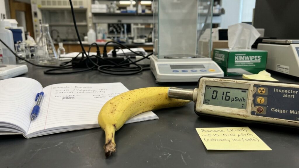 A banana é levemente radioativa por causa do potássio que contém, e cientistas explicam por que isso não representa nenhum risco para quem come