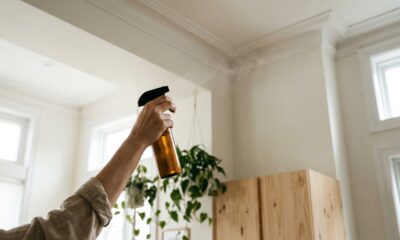 Mistura de vinagre branco com óleo essencial de hortelã: para que serve o spray caseiro que espanta aranhas e evita teias nos cantos do teto