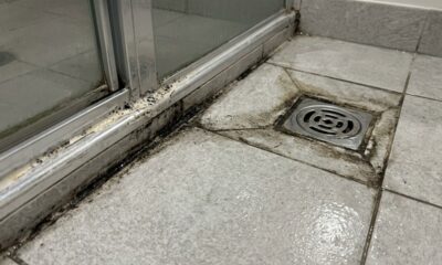 Especialistas em limpeza explicam: rejunte preto no piso nem sempre é apenas sujeira acumulada, porque umidade, mofo e pouca ventilação também podem estar por trás das manchas