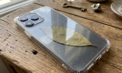 Colocar uma folha de louro na capinha do celular: para que serve essa simpatia e por que tanta gente usa