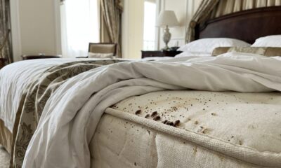 Percevejos de cama nas costuras de um colchão branco em quarto de hotel, representando falha de higiene que pode gerar indenização aos hóspedes. - Imagem ilustrativa criada por inteligência artificial