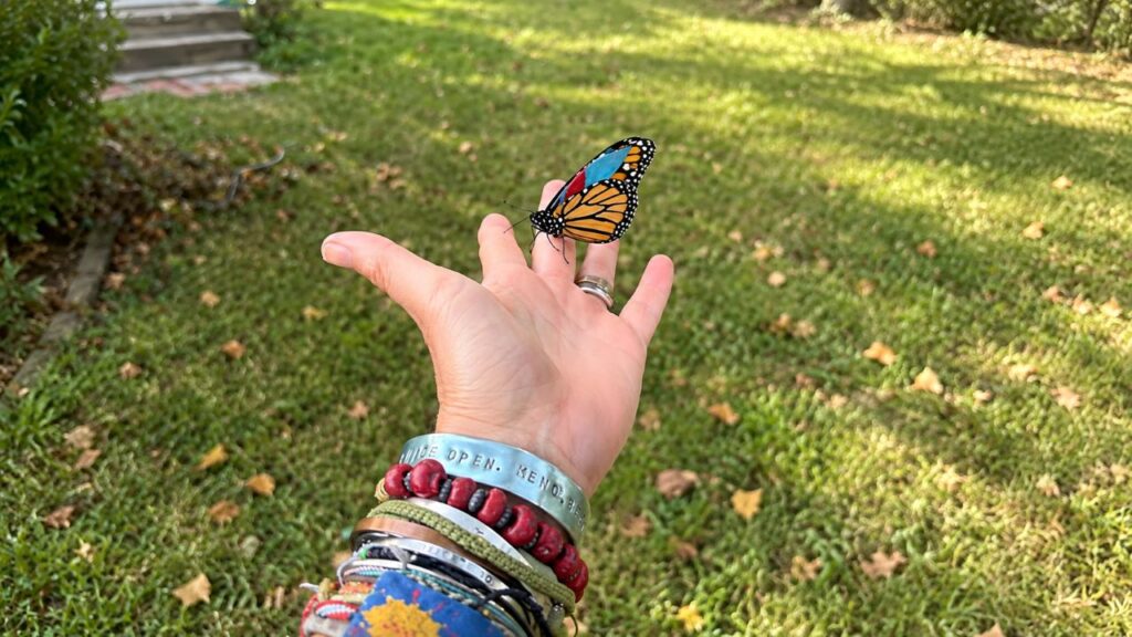 Artista encontra borboleta com asa danificada que não conseguia voar e surpreende ao usar materiais de arte para ajudá-la a voar novamente