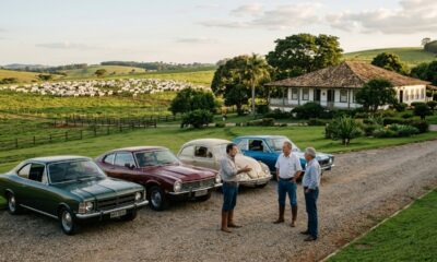Um filho recebe fazenda milionária e os outros ficam com carros