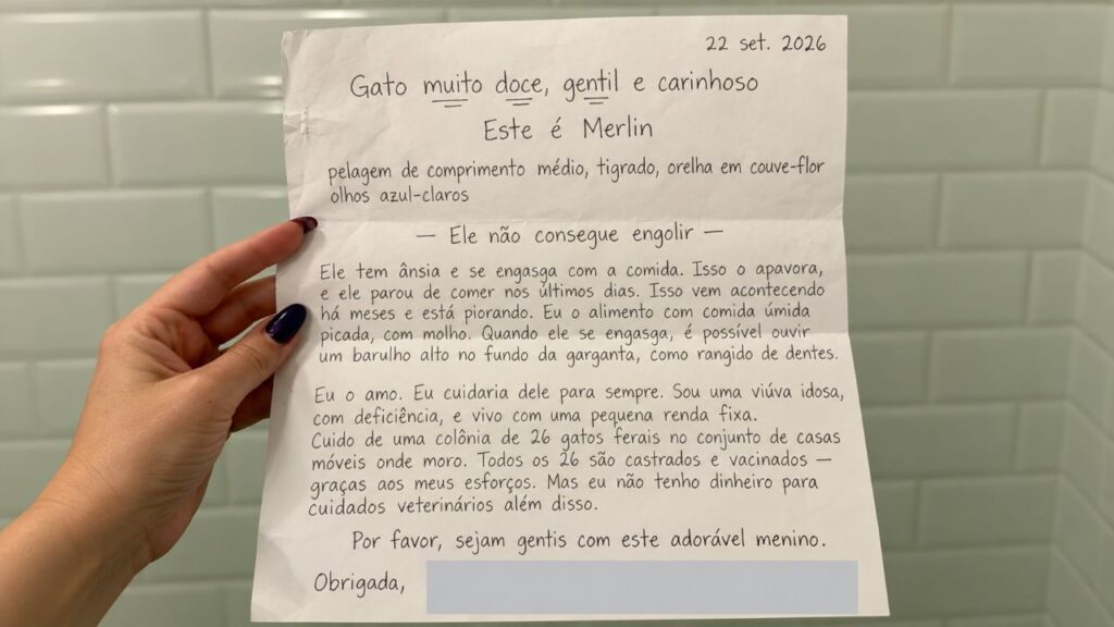 Mulher adota gato doente que vivia em abrigo e se emociona ao descobrir o que estava escrito em seu prontuário