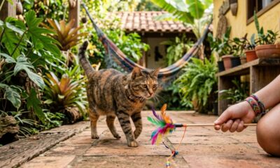 Especialistas explicam: “O ‘pspsps’ pode não ser apenas um chamado curioso para os gatos, mas um som que se destaca do ambiente e desperta rapidamente a atenção”