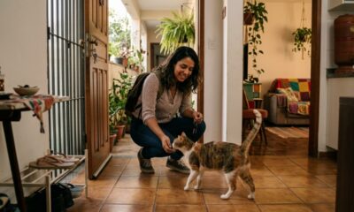A psicologia sugere que quem convive com gatos pode se sentir menos dependente de interação social contínua, já que a presença do animal também pode oferecer conforto, rotina e sensação de companhia