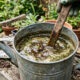 Chá de folha de neem com melaço de cana: para que serve a fertirrigação dupla que nutre a terra e condiciona o solo do vaso
