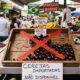 Adeus, cereja importada: a "cereja brasileira" da Mata Atlântica que frutifica até em vaso