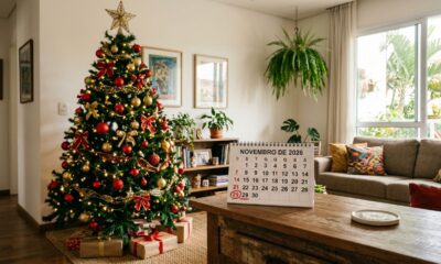 Qual é o dia certo para montar e desmontar a árvore de Natal: a tradição cristã explica as datas e a antiga superstição de que deixá-la após o Dia de Reis traz azar