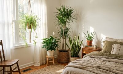 Essas 5 plantas indestrutíveis sobrevivem com pouca luz e foram eleitas por jardineiros as melhores opções para purificar o ar do quarto