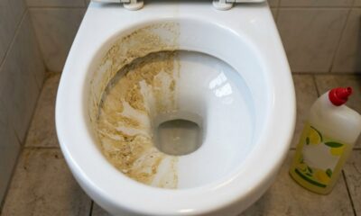 Nem vinagre nem bicarbonato: esse ingrediente ajuda a dissolver a mancha escura que acumula no fundo do vaso sanitário e pode facilitar a limpeza