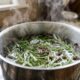 Ferver cravo-da-índia com alecrim: para que serve a mistura e por que o aroma intenso pode ajudar a perfumar a casa depois de cozinhar