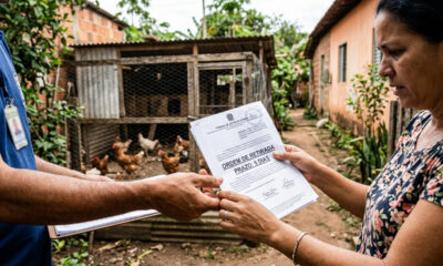 Vizinho monta criação de galinhas em quintal de bairro residencial e Justiça manda retirar as aves em 5 dias sob pena de busca e apreensão