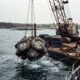 Em 1978, pneus preenchidos com concreto foram lançados no fundo do oceano e, mais de 40 anos depois, as estruturas se transformaram em um abrigo para peixes, lagostas e outras espécies marinhas