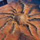 Imagem da NASA mostra uma enorme estrutura em forma de aranha na Austrália, com um centro de 4 quilômetros e gigantescas ramificações esculpidas pela erosão ao longo de milhões de anos
