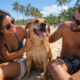 Antes de levar um animal encontrado nas férias, confirme que ele não tem dono e que a família está pronta para cuidar dele por anos