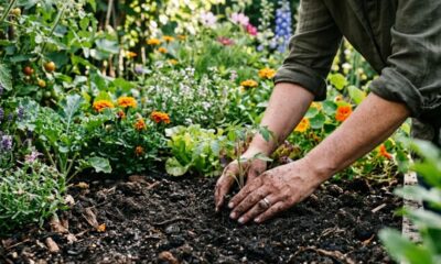 Ditado popular atribuído à tradição chinesa: “Se quiser ser feliz por uma semana, case-se; se quiser ser feliz por um mês, mate um porco; mas se quiser ser feliz a vida toda, plante um jardim.” A lição sobre por que algumas alegrias passam rápido, enquanto outras precisam ser cultivadas