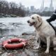 Homem pula em lago congelado no Central Park para salvar cachorro que estava se afogando, e cena impressionante é registrada por câmeras