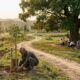 Provérbio chinês do dia: “Uma geração planta as árvores; a outra descansa na sombra.” Uma reflexão sobre por que o que fazemos hoje é herança para quem vem depois