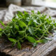 Essa planta medicinal rústica nasce como mato no canteiro: rica em compostos terapêuticos, ela alimenta polinizadores e embeleza a horta
