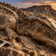 Durante 100 anos, essas “múmias” de dinossauros enganaram os cientistas, mas uma nova análise revela que seus corpos foram preservados por moldagem mineral