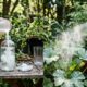 A bebida comum de geladeira que borrifada na dose certa na planta cria um escudo biológico de lactobacilos contra o mofo
