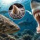 Fósseis de 450 milhões de anos escondiam um detalhe que passou despercebido por décadas: cientistas usaram tecnologia avançada para reconstruir a origem dos dentes e reavaliar antigas teorias sobre a evolução dos vertebrados