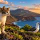 Em 1905, alguns gatos foram levados para uma ilha remota, mas eles se reproduziram e passaram a ameaçar aves nativas, criando um problema ambiental que exigiu décadas de estudos e medidas de controle