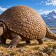 Fóssil de um tatu-gigante revela um mamífero de quase 4 metros que percorria a América do Sul e carregava uma armadura natural durante a Era do Gelo
