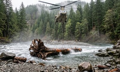 Helicópteros despejam troncos gigantes no meio de rios e intervenção ajuda a devolver áreas de abrigo, água mais calma e locais seguros para os salmões se reproduzirem