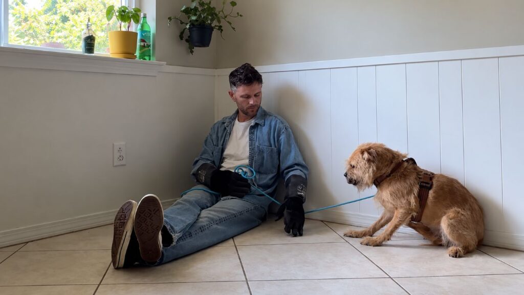 Cachorro não deixava ninguém colocar uma coleira nele até treinador dedicar um ano inteiro para ganhar sua confiança