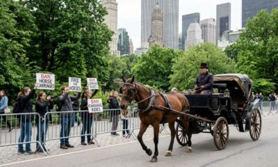 Nova York pode dar adeus aos passeios de charrete após décadas de tradição, e decisão apoiada pelo prefeito Zohran Mamdani pode mudar o destino dos cavalos