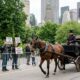 Nova York pode dar adeus aos passeios de charrete após décadas de tradição, e decisão apoiada pelo prefeito Zohran Mamdani pode mudar o destino dos cavalos