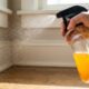 Borrifar essa infusão caseira de cascas nos cantos dos cômodos: a receita barata que cria uma barreira contra insetos rasteiros na casa