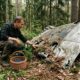Homem entra em uma floresta para colher frutas e acaba encontrando destroços de um avião desaparecido desde a Segunda Guerra Mundial