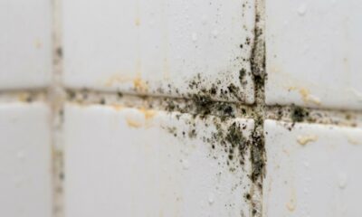 Especialistas em limpeza explicam: rejunte preto no banheiro pode não ser apenas sujeira, mas consequência da condensação e do excesso de umidade acumulado no ambiente